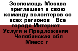 Зоопомощь.Москва приглашает в свою команду волонтёров со всех регионов - Все города Интернет » Услуги и Предложения   . Челябинская обл.,Миасс г.